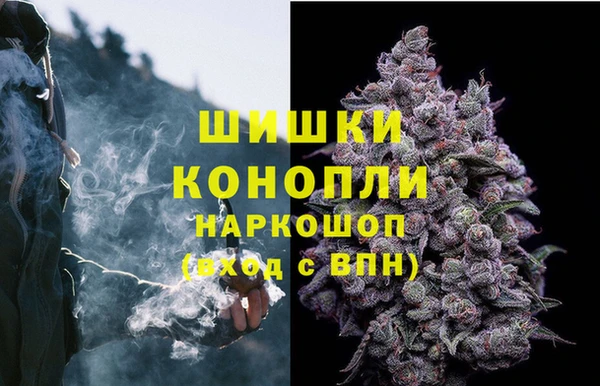 винт Богородицк