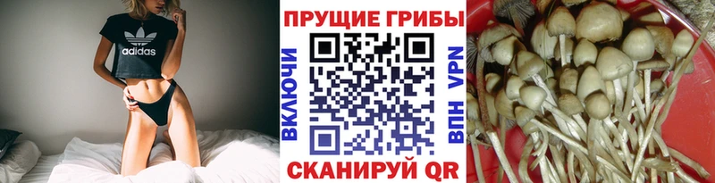 Галлюциногенные грибы MAGIC MUSHROOMS  Саяногорск 